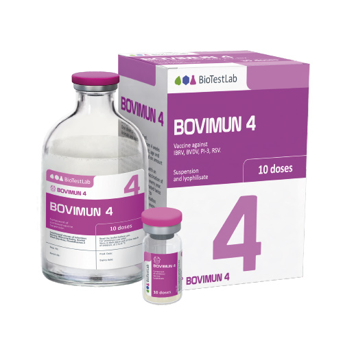 BOVIMUN 4